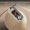 Lint Remover