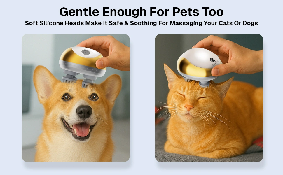 A+ Banner