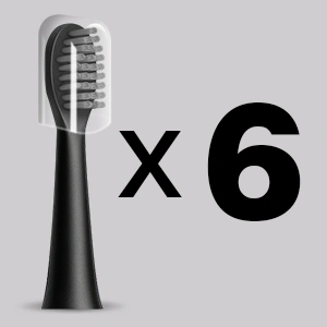 6 PREMIUM DUPONT BRUSH HEADS INCLUDED—NO NEED TO BUY EXTRA