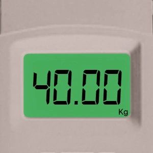 CLEAR LCD BACKLIT DISPLAY